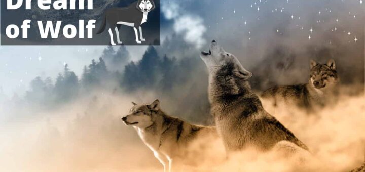 DREAM INTERPRETATION -Changing old habits [symbols -wolves, handgun, hut, light]